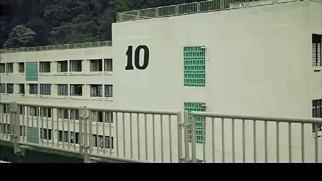 扫毒：张子伟一言不合，就嘲讽苏建秋黑，苏建秋：跑学校晒的嘛！