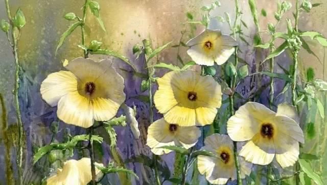 花卉绘：<a href=