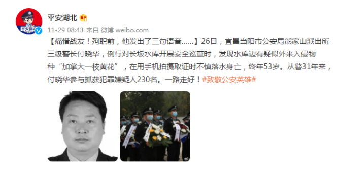 三级警长,水库巡查“加拿大一枝黄花”拍摄取证时,不慎落水身亡休闲区蓝鸢梦想 - Www.slyday.coM 三级警长,水库巡查“加拿大一枝黄花”拍摄取证时,不慎落水身亡休闲区蓝鸢梦想 - Www.slyday.coM