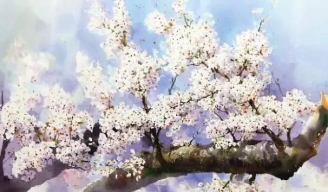 花卉绘：<a href=