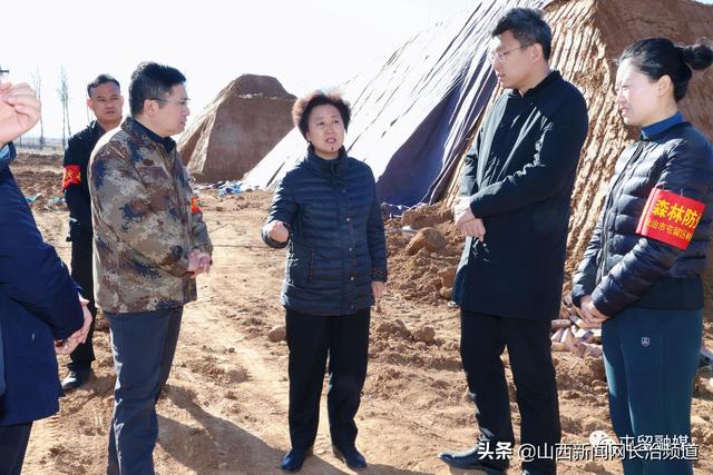 屯留区委书记翟卫华深入丰宜镇调研设施大棚建设工作