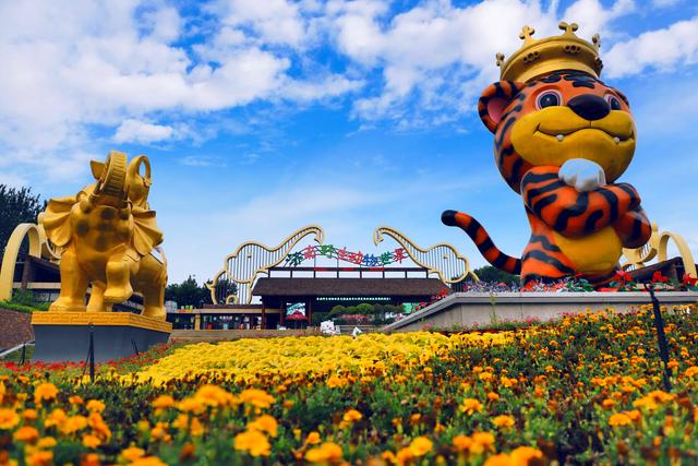 福利来了!198元畅玩济南野生动物世界一整年!雪天看动物卖萌撒欢~休闲区蓝鸢梦想 - Www.slyday.coM 福利来了!198元畅玩济南野生动物世界一整年!雪天看动物卖萌撒欢~休闲区蓝鸢梦想 - Www.slyday.coM