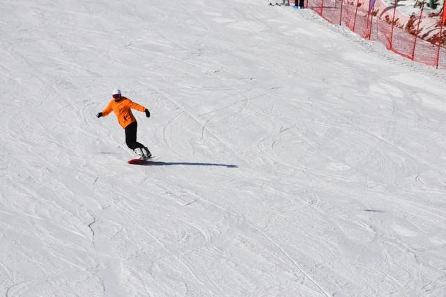 想滑雪?不必跨越南北!