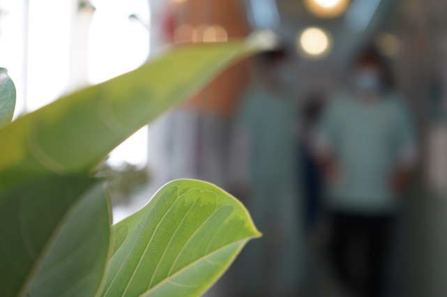 体态新概念－<a href=