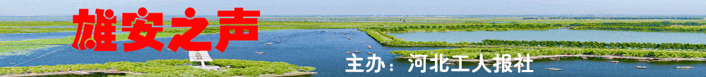 招聘会心得体会_招聘会信息简报_招聘会