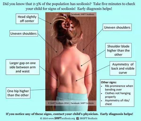 体态新概念－<a href=