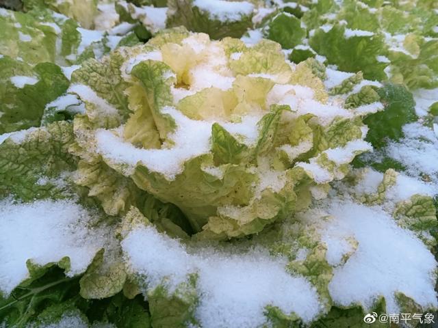 福建下雪地图又扩大了,福州、南平、宁德、三明加入休闲区蓝鸢梦想 - Www.slyday.coM 福建下雪地图又扩大了,福州、南平、宁德、三明加入休闲区蓝鸢梦想 - Www.slyday.coM