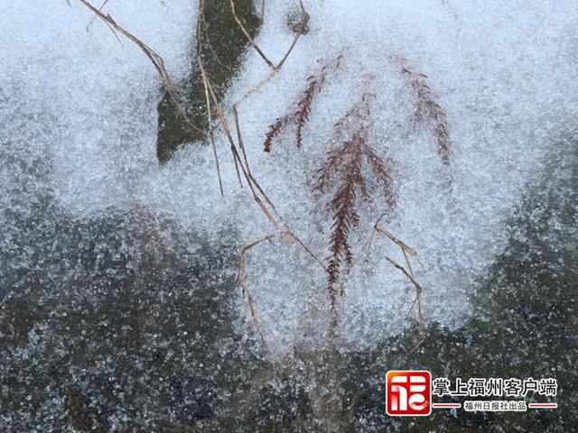 福建下雪地图又扩大了,福州、南平、宁德、三明加入休闲区蓝鸢梦想 - Www.slyday.coM 福建下雪地图又扩大了,福州、南平、宁德、三明加入休闲区蓝鸢梦想 - Www.slyday.coM