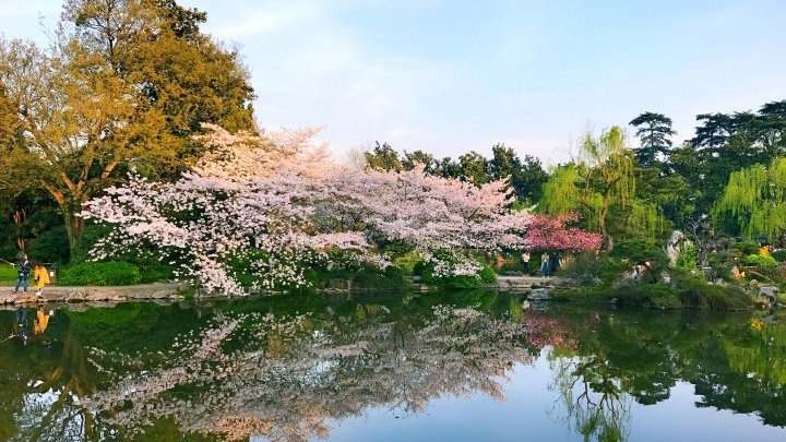 明天杭州正式入春 3月拿的是什么“天气剧本”？