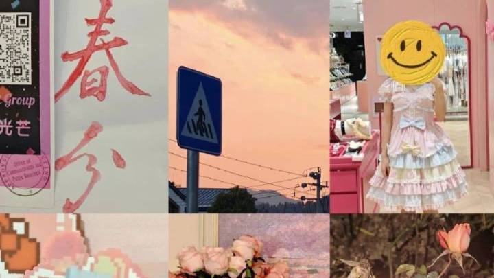 “不到500元买下春天”，Color Walk火了！