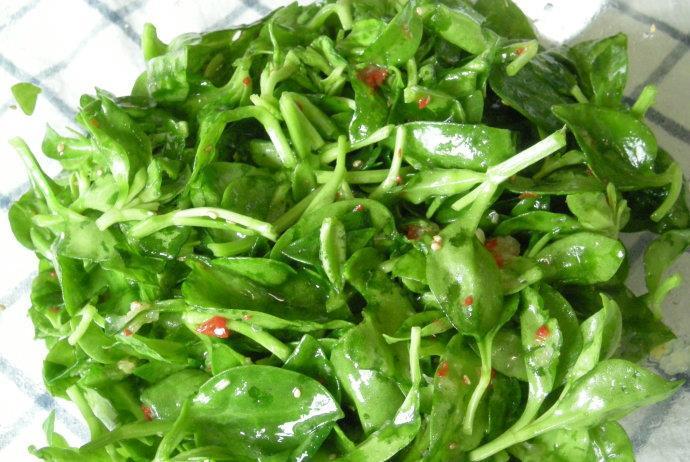 女性不想肚子鼓鼓,不妨多食此菜,排出体内毒素,身高蹭蹭的长休闲区蓝鸢梦想 - Www.slyday.coM 女性不想肚子鼓鼓,不妨多食此菜,排出体内毒素,身高蹭蹭的长休闲区蓝鸢梦想 - Www.slyday.coM