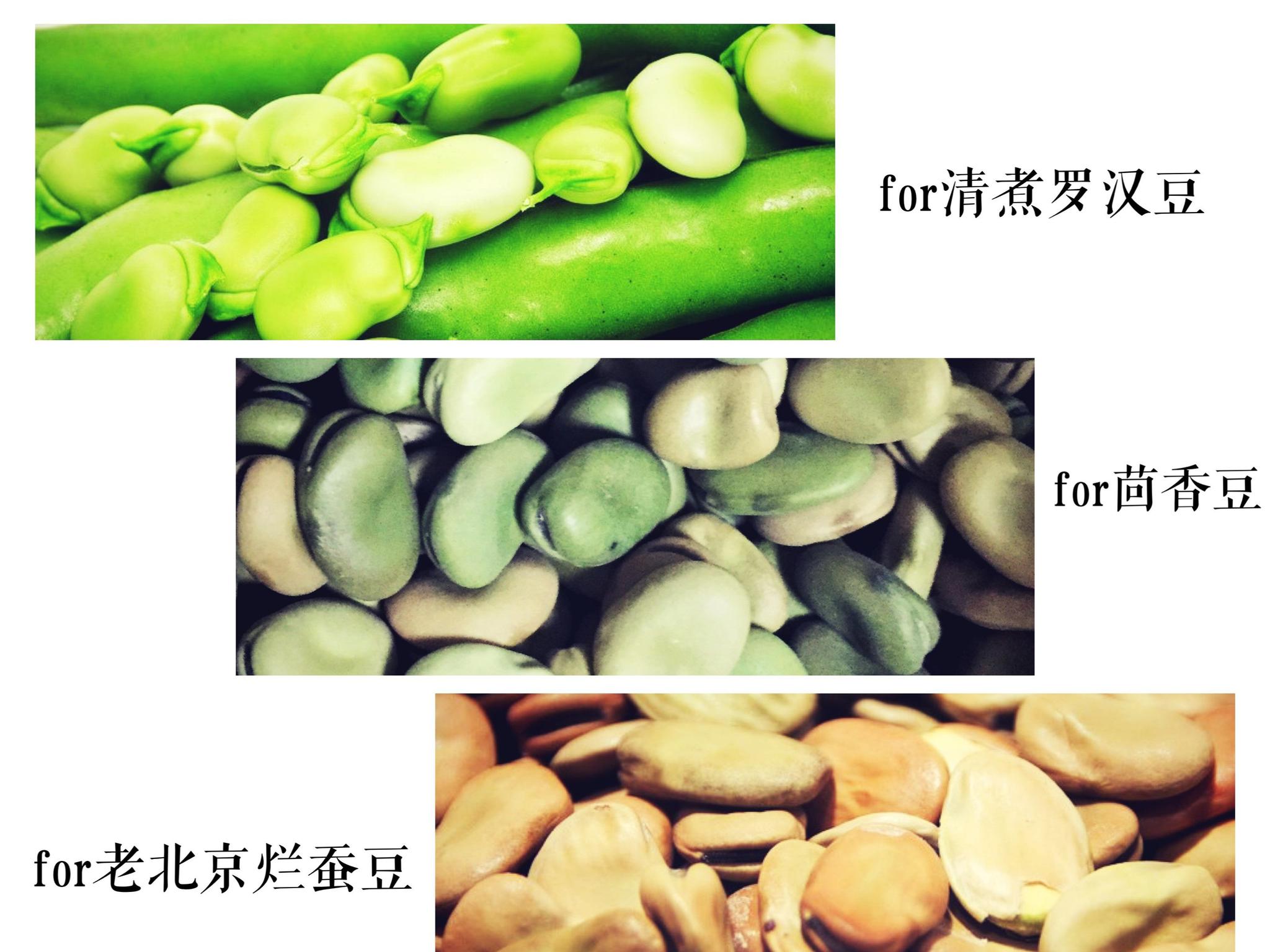 Will Broad Bean Protein Become A New Star In The Market? - News - Xi'an ...