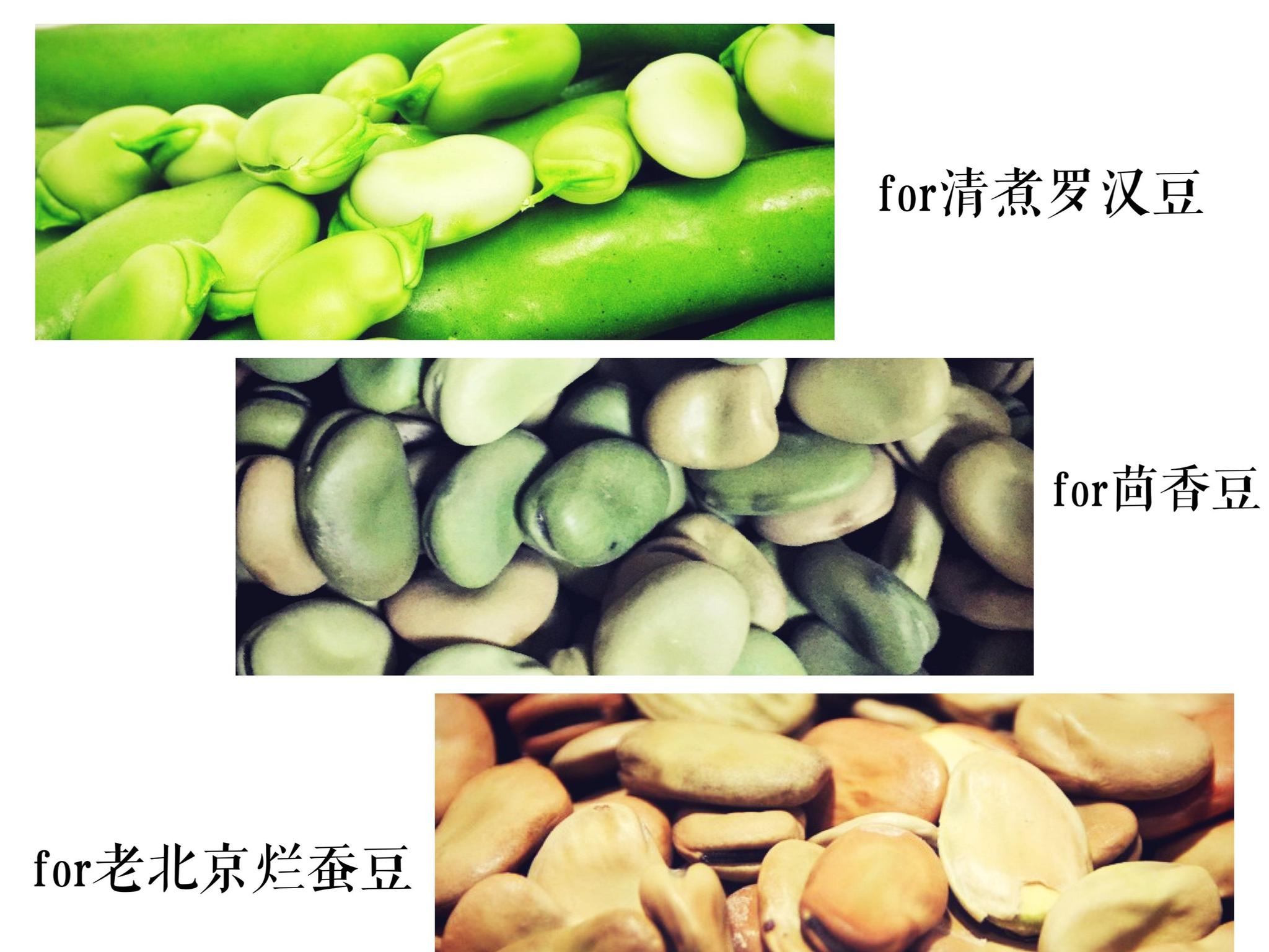 鲁迅偷吃的罗汉豆,孔乙己的茴香豆与老北京的烂蚕豆你