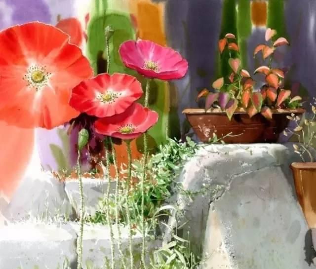 花卉绘：<a href=