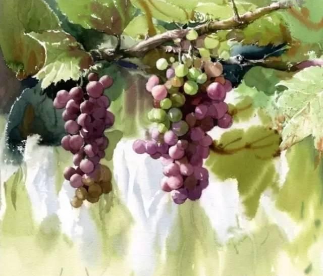 花卉绘：<a href=