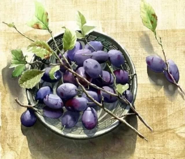 花卉绘：<a href=