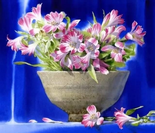 花卉绘：<a href=