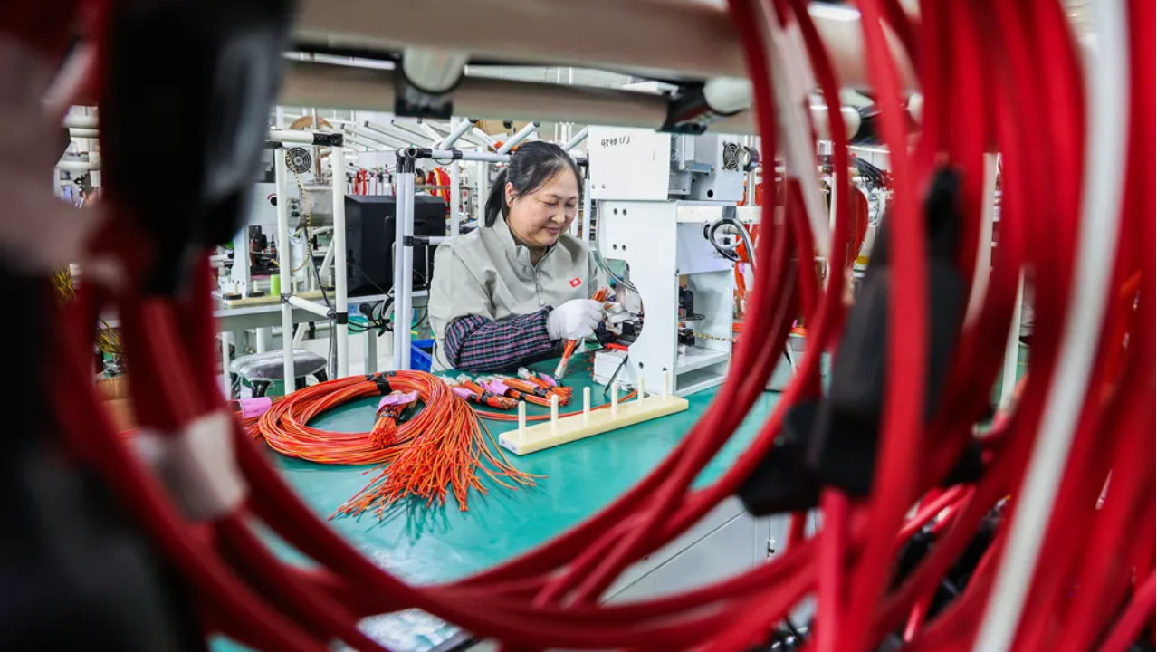 高区：一条线束串起亿元产业链