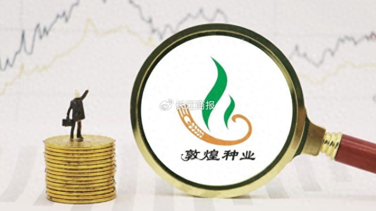敦煌种业遭游资炒作股价三连板 中期扣非猛增188%可持续性待考