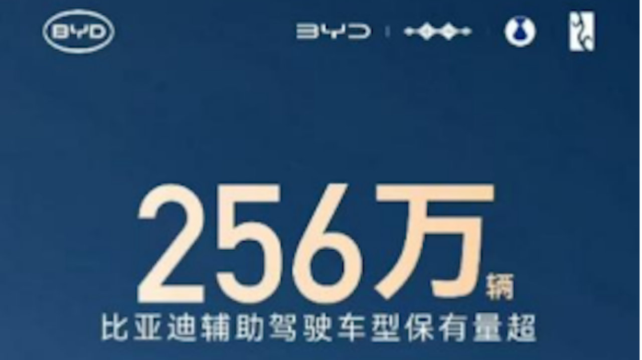 256 万 + 用户共同选择，比亚迪辅助驾驶跑出加速度