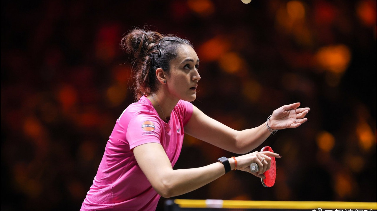 张本美和击败巴特拉，川上流星击败周启豪，都有一定把握