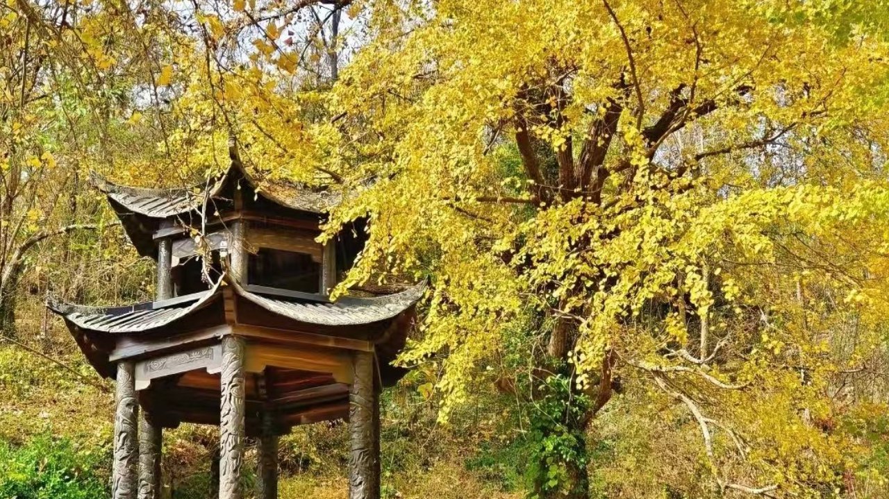 避开人潮不踩冷坑，10-11月三地舒适赏秋手册