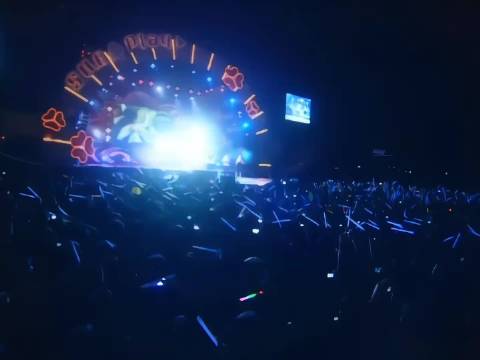 “五月的夏天永不停歇”