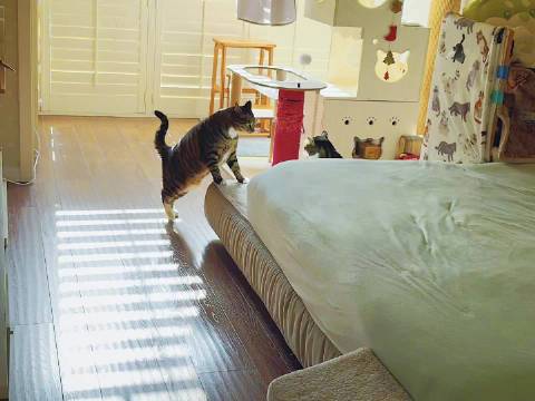 沉氏养居场皮卡见喷壶秒变乖