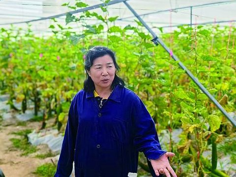 实验室里忙“春播”：南繁热土的科技攻坚