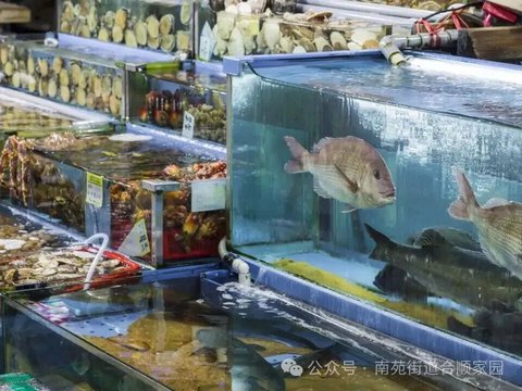 【合顺分享】北京值得反复去的8个批发市场推荐! 【合顺分享】北京值得反复去的8个批发市场推荐!