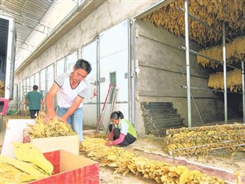 千里山海情   协作结硕果