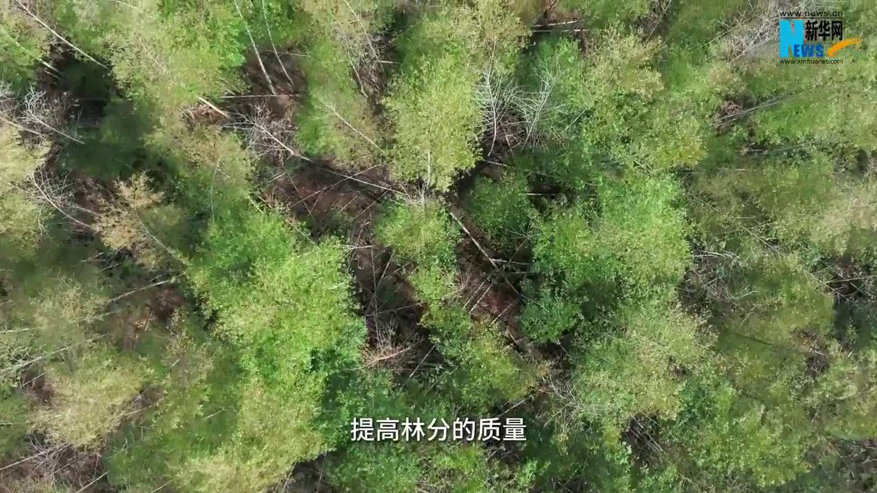这里的“空气”能卖钱！