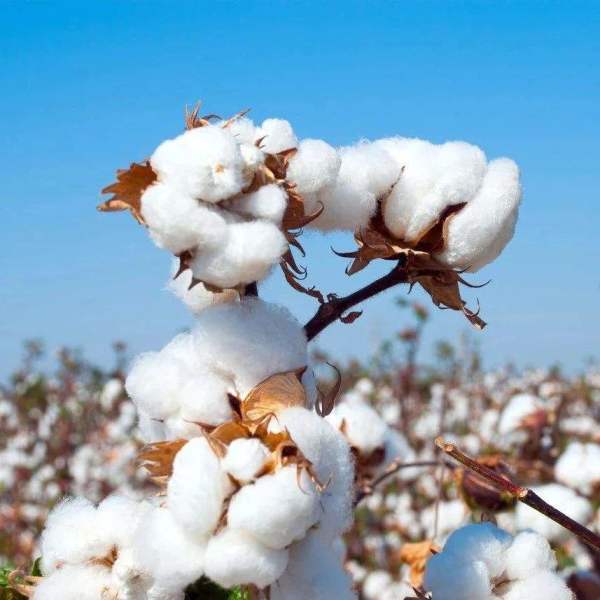 求锤得锤!沃尔玛山姆会员店因违法被罚款,在华美企不准吃饭砸锅休闲区蓝鸢梦想 - Www.slyday.coM 求锤得锤!沃尔玛山姆会员店因违法被罚款,在华美企不准吃饭砸锅休闲区蓝鸢梦想 - Www.slyday.coM