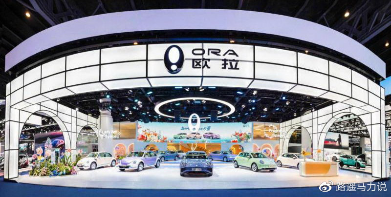 个性中提炼共性 深度解析欧拉品牌向上之路