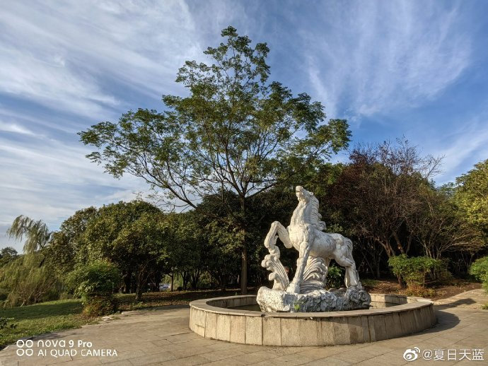 雨后初晴蓝天白云下的南京白马公园清澈纯净风景宜人