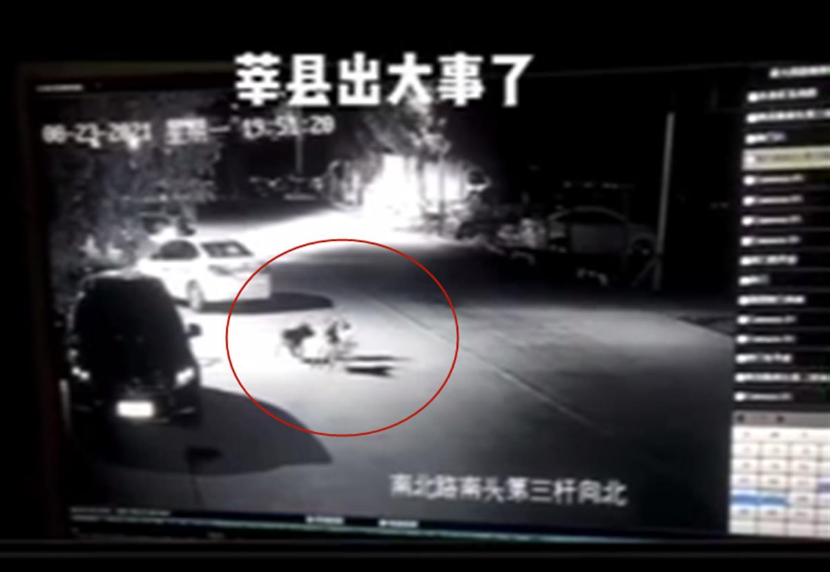 山东莘县一小孩被两只狗撕咬,当地警方回应:已控制相关人员休闲区蓝鸢梦想 - Www.slyday.coM 山东莘县一小孩被两只狗撕咬,当地警方回应:已控制相关人员休闲区蓝鸢梦想 - Www.slyday.coM