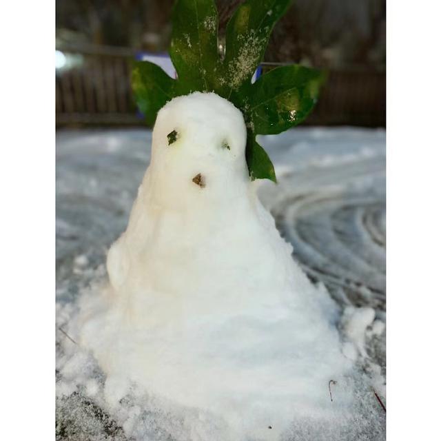 福建下雪地图又扩大了,福州、南平、宁德、三明加入休闲区蓝鸢梦想 - Www.slyday.coM 福建下雪地图又扩大了,福州、南平、宁德、三明加入休闲区蓝鸢梦想 - Www.slyday.coM