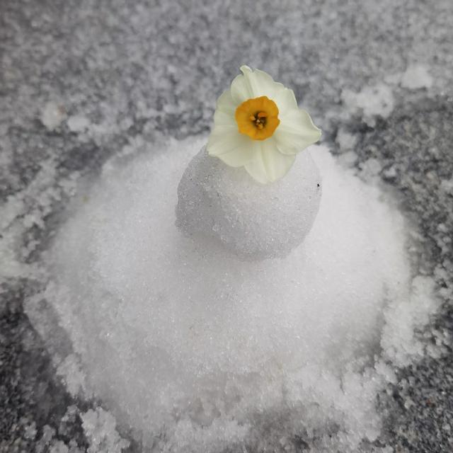 福建下雪地图又扩大了,福州、南平、宁德、三明加入休闲区蓝鸢梦想 - Www.slyday.coM 福建下雪地图又扩大了,福州、南平、宁德、三明加入休闲区蓝鸢梦想 - Www.slyday.coM