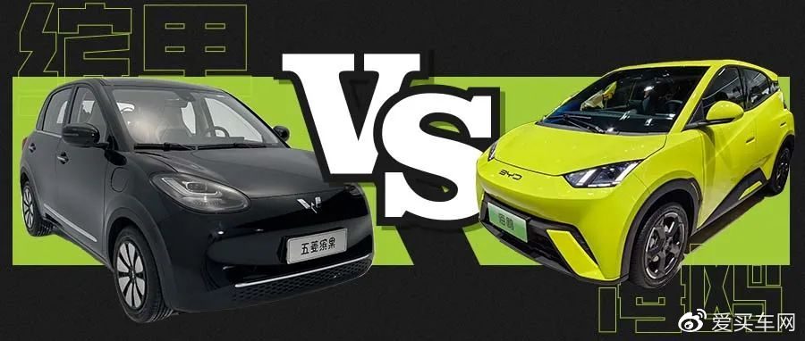 续航都超300km,比亚迪海鸥与五菱缤果该怎么选?