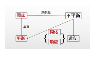 看点>正文>心理发展的本质就是个体通过同化和顺应来实现与环境的平衡