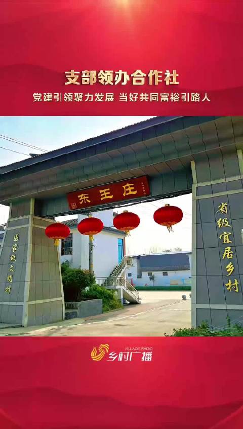 实施村社共建  实现合作共赢——滕州市西岗镇东王庄村党支部领办“西岗镇东王庄村经济合作社”【支部领办合作社】