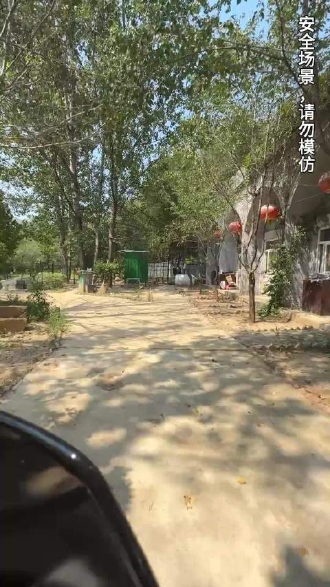 成天坐门口等主人的小柯基，主人终于来接它了，再也不用坐门口等