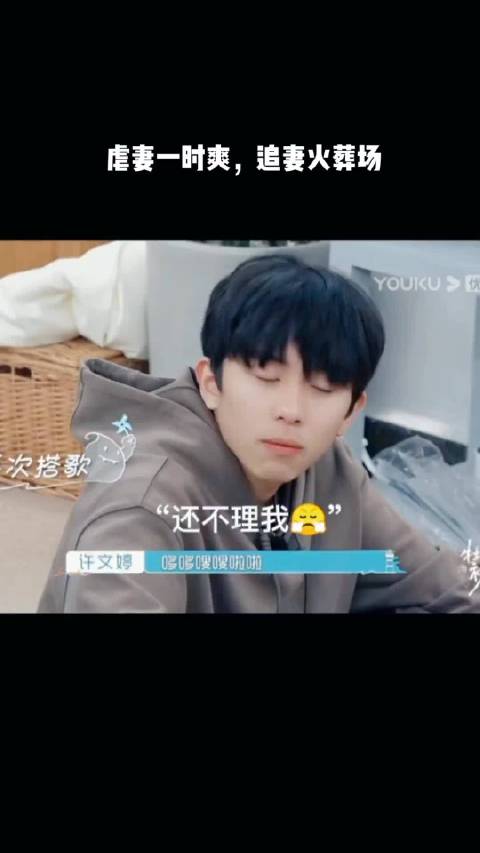 毛毛试图引起注意， 早知今日何必当初啊哈哈哈哈哈