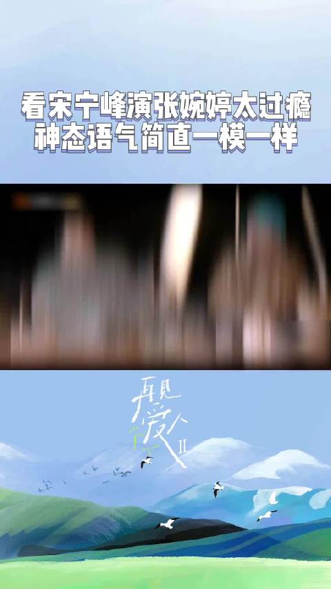 再见爱人 宋宁峰演张婉婷一秒入戏，从神态到语气简直一模一样，孙怡：我都替他觉得过瘾！