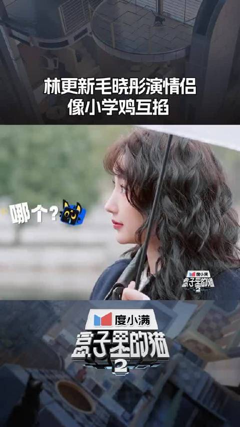 林更新 毛晓彤“欢喜冤家搭档”遇事不决猜丁壳！盒子里的猫盒子里的猫第二季