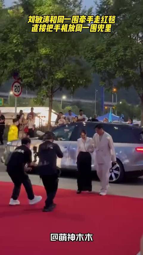 刘敏涛和周一围牵手走红毯，直接把手机放周一围兜里，姐弟感好强！