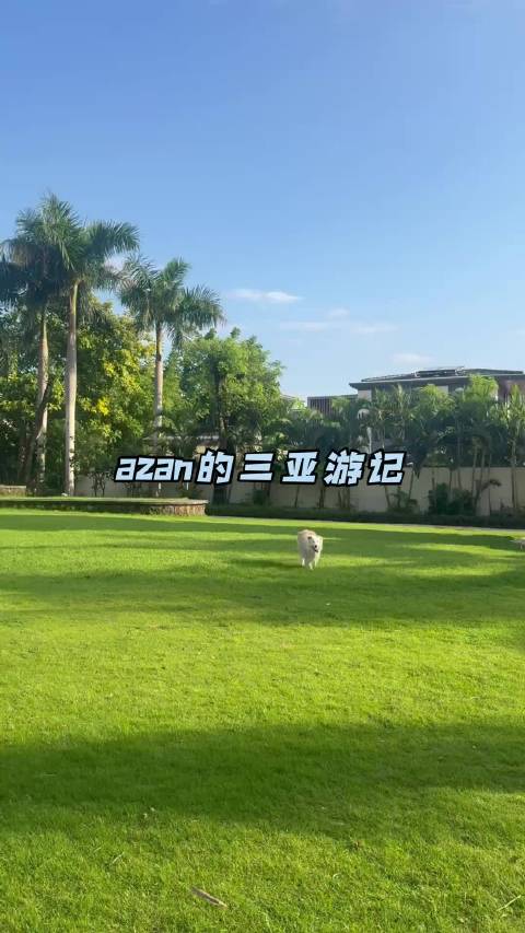 陈哲远休假陪伴爱犬azan，温馨日常治愈人心