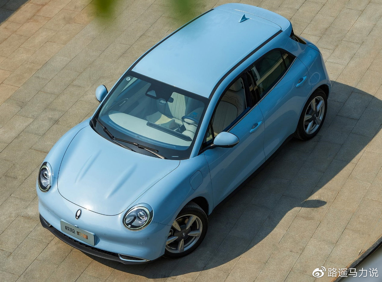 个性中提炼共性 深度解析欧拉品牌向上之路