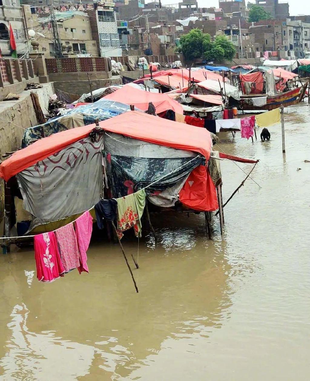 强降雨已致巴基斯坦千余人死亡 政府发布新洪水预警_灾害_受灾_洪灾