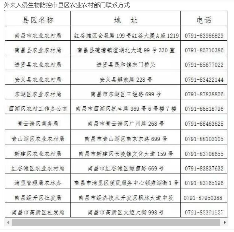 网友:“加拿大一枝黄花”发现后上报哪个部门?与本土的有啥区别?本报记者采访相关专家休闲区蓝鸢梦想 - Www.slyday.coM 网友:“加拿大一枝黄花”发现后上报哪个部门?与本土的有啥区别?本报记者采访相关专家休闲区蓝鸢梦想 - Www.slyday.coM